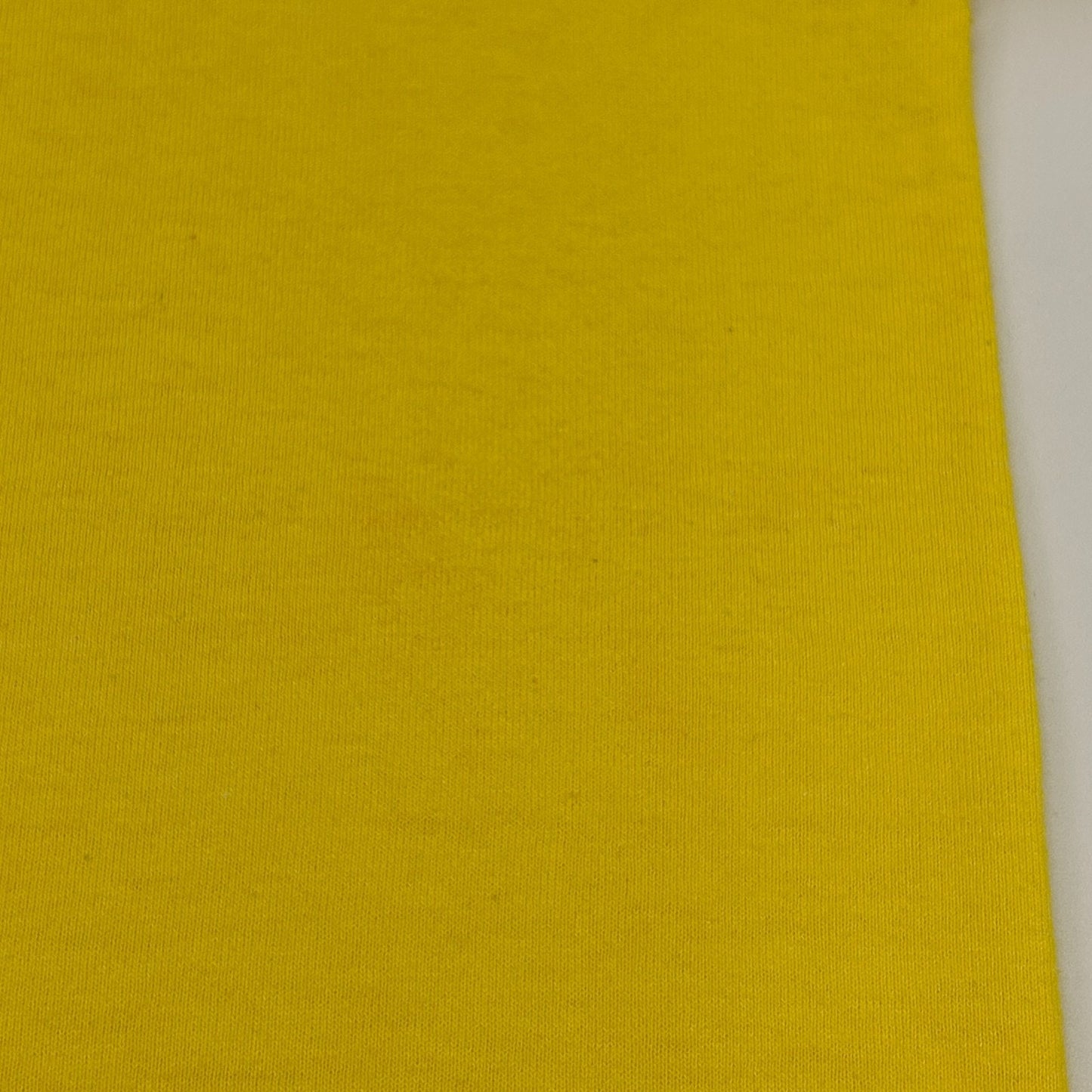 Vintage Y2Ks NYCY Archdiocese of Dubuque T Shirt Catholic Iowa Yellow L Large