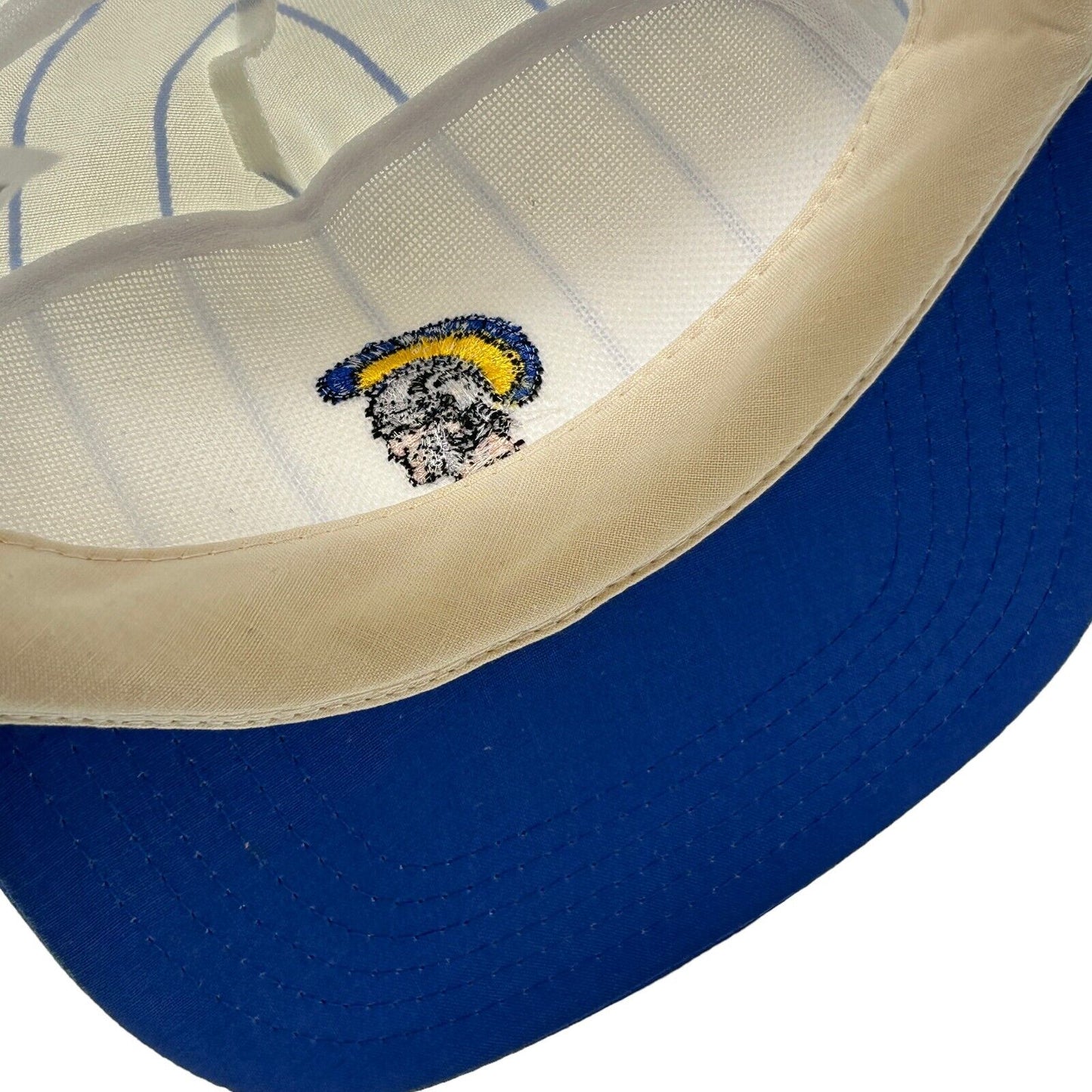 USC Trojans Vintage 80s 90s Hat NCAA University Pinstriped Snapback Baseball Cap