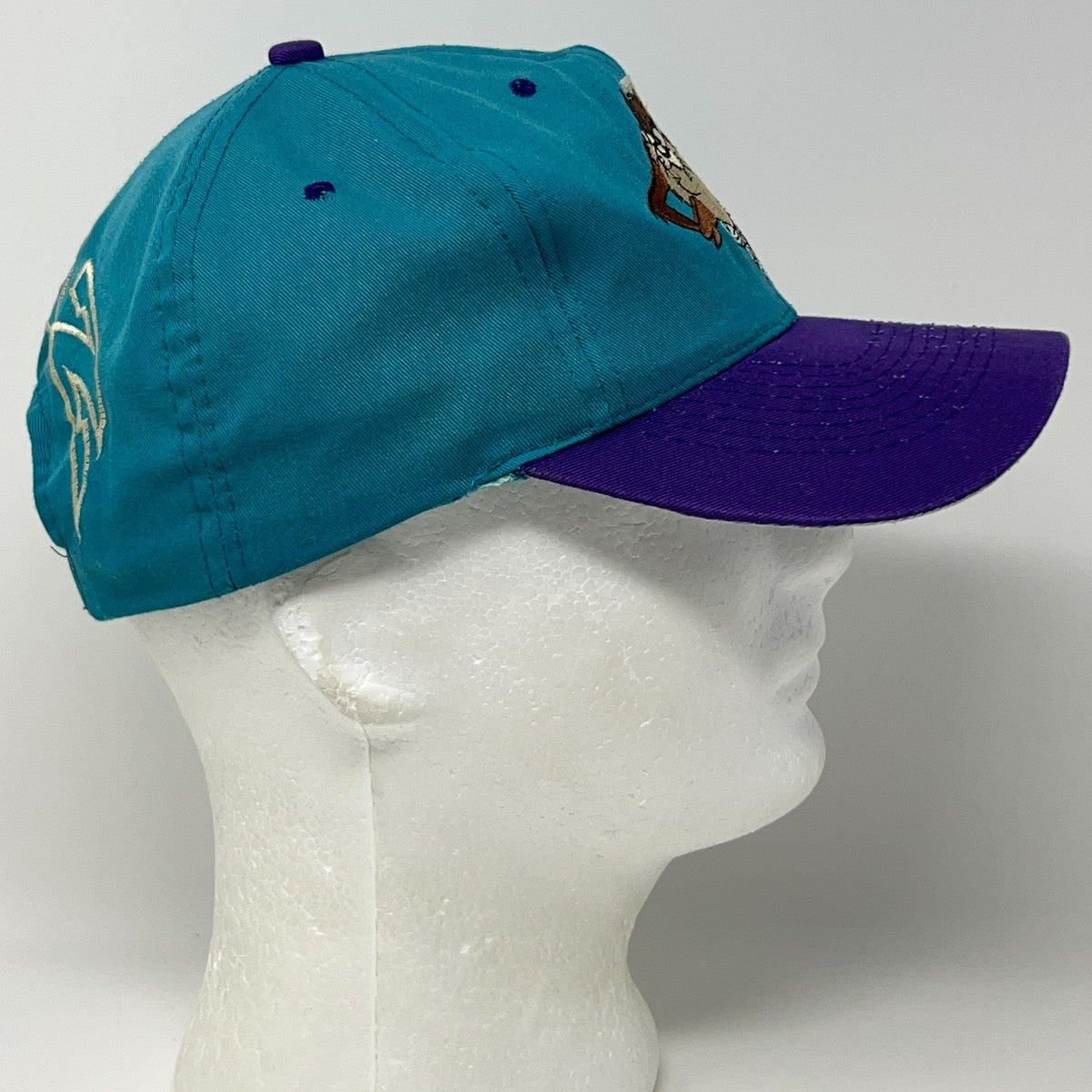 Vintage Taz Tasmanian Devil Teal Purple Snapback Hat Baseball Cap Looney Tunes