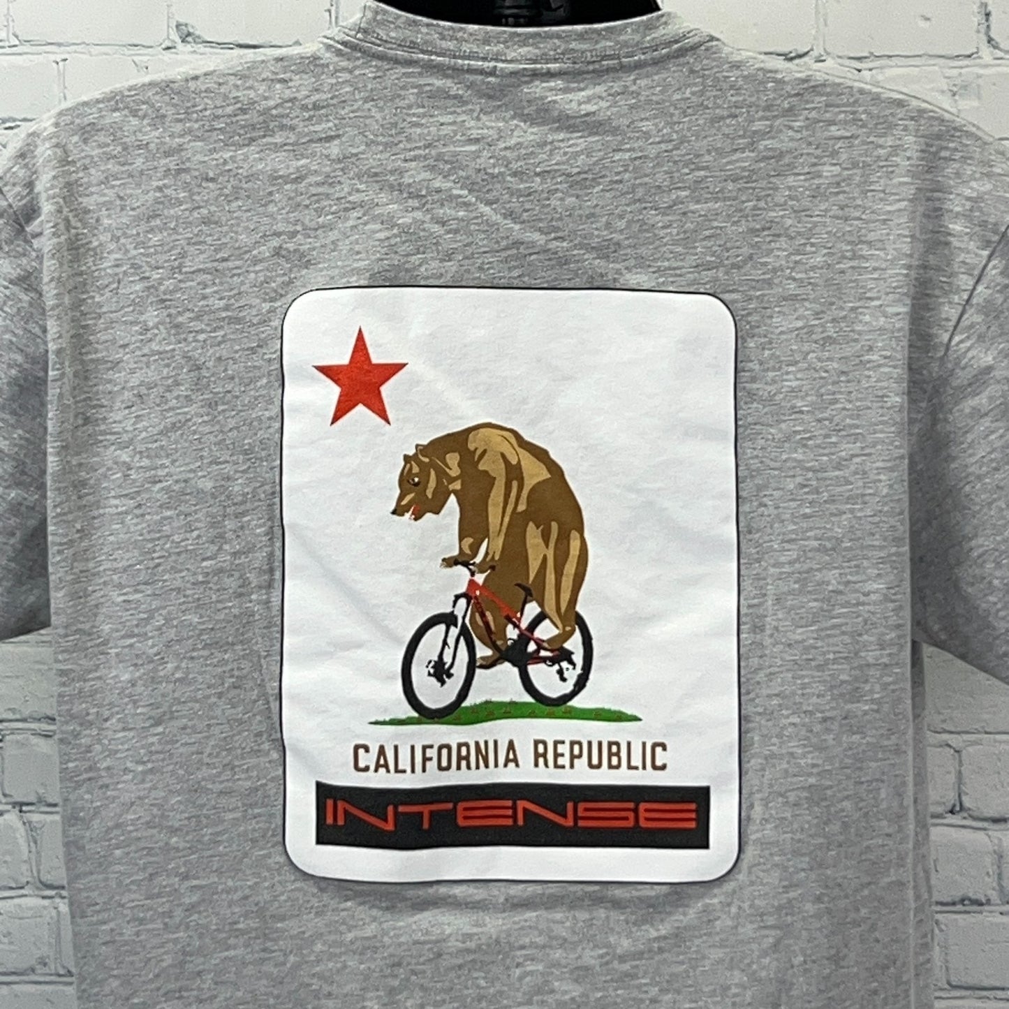 Gray Intense Cycles T-shirt with California bear graphic and logo, viewed from the back