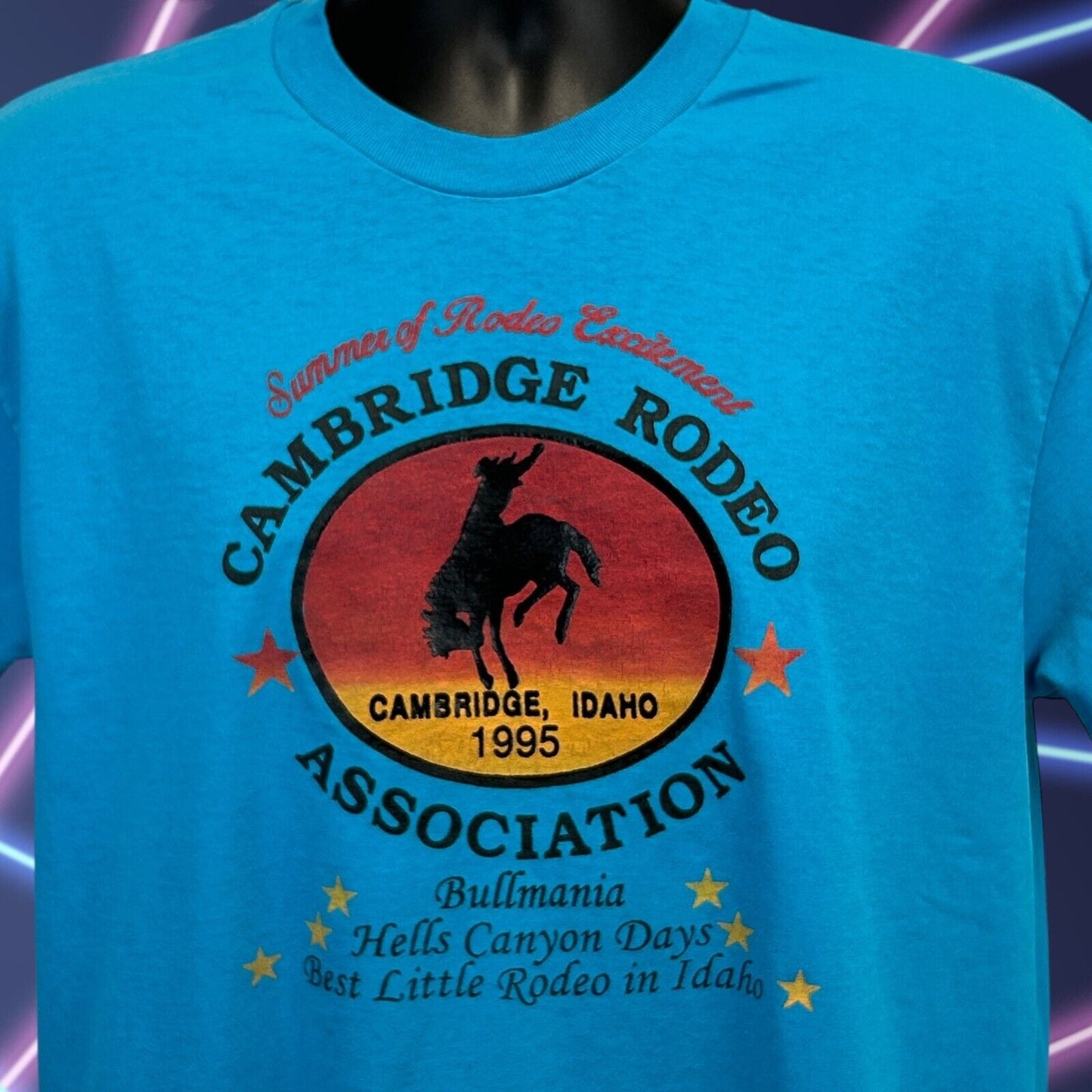 Vintage Cambridge Rodeo Association T Shirt Mens Large Idaho 1995 90s USA Blue