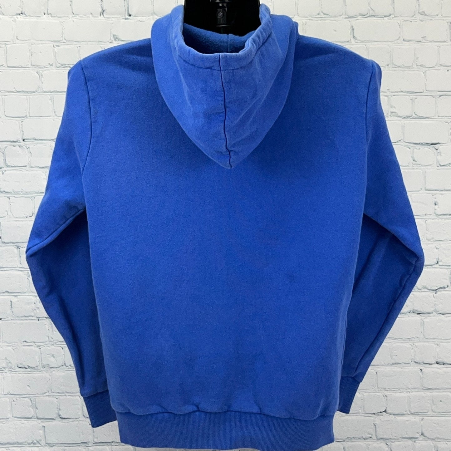 Marcelo Burlon Hoodie Sweatshirt in Blue, Size Medium, Back View