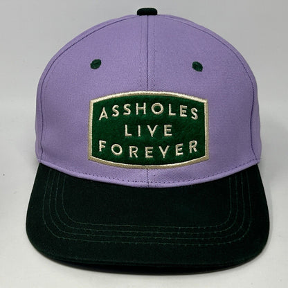 A$$holes Live Forever 棒球帽 Linda Finegold 六片式 Snapback 紫色