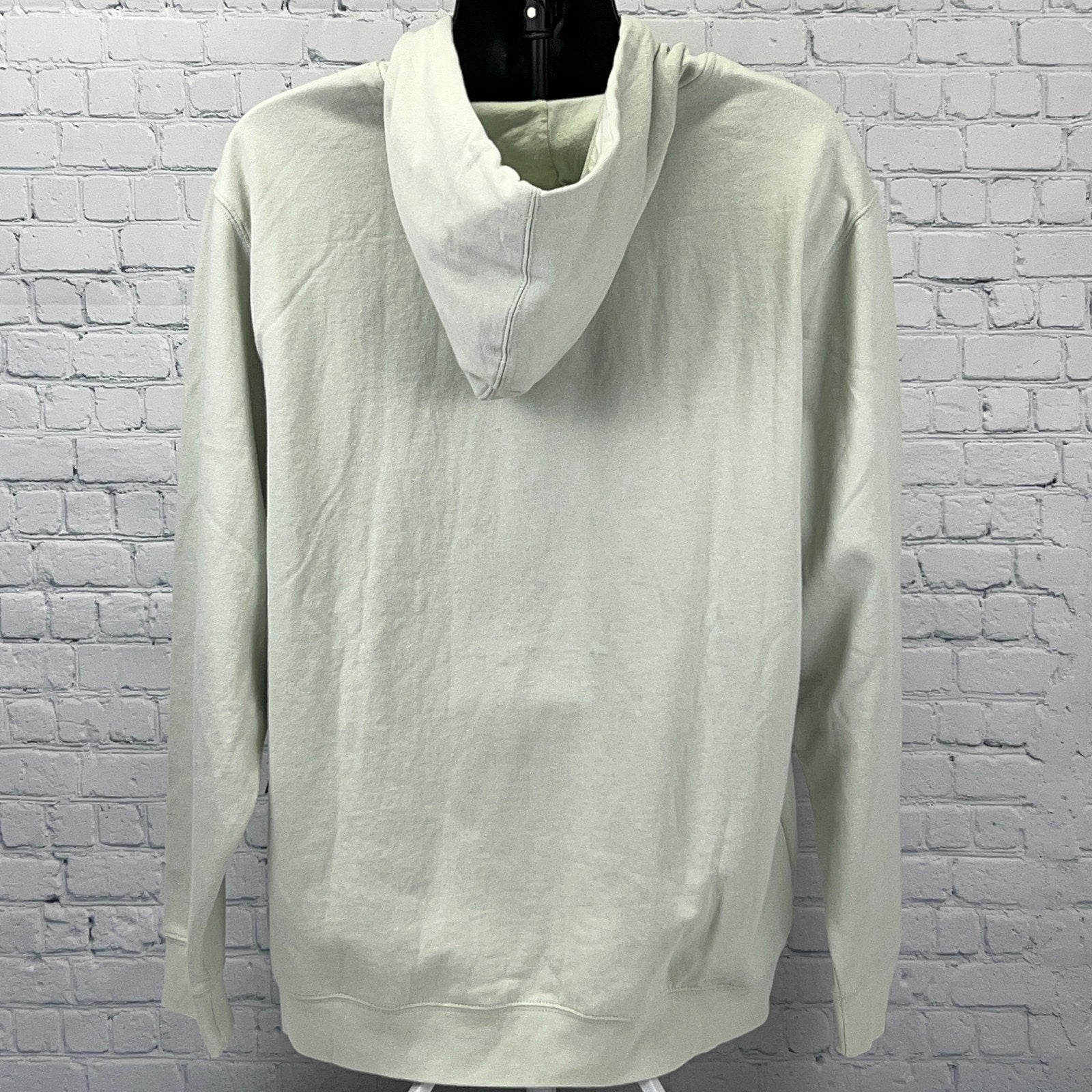 RVCA 90s Hooded Sweatshirt in Light Green, Size Large, Back View