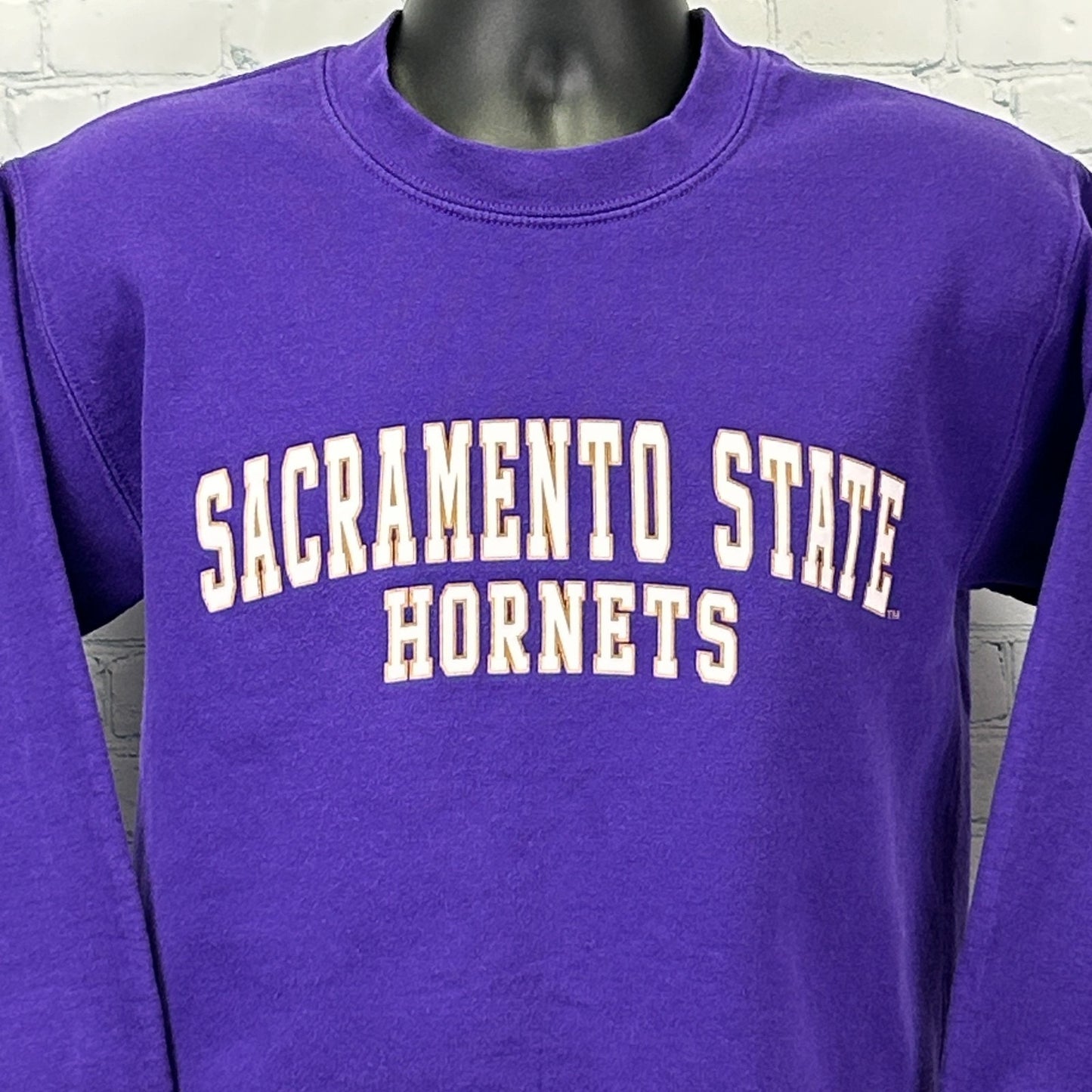 Purple Sacramento State Sweatshirt in adult size with bold 'Hornets' logo on the front