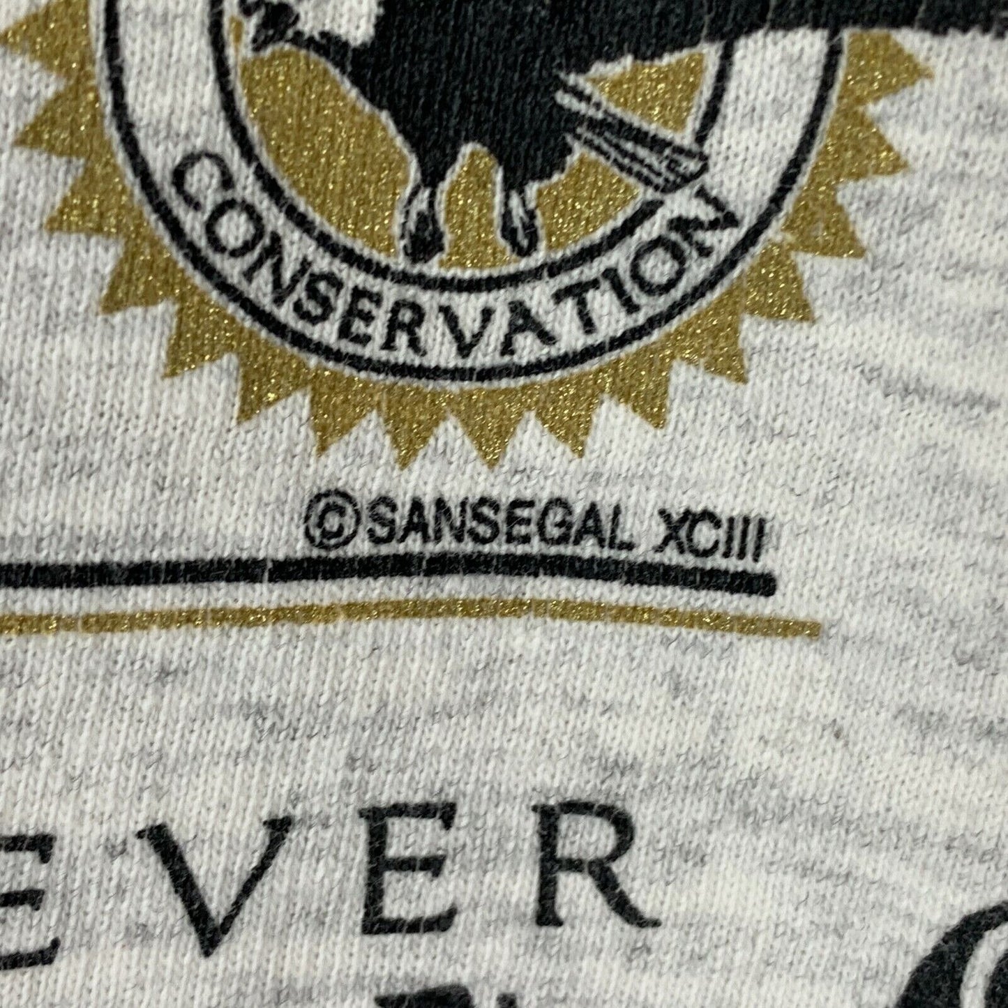 Sansegal Sportswear T-Shirt featuring bald eagle design in gray with conservation theme