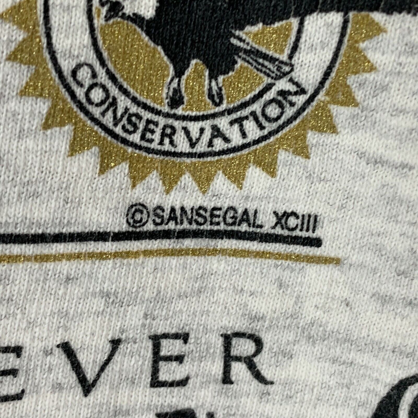 Sansegal Sportswear T-Shirt featuring bald eagle design in gray with conservation theme