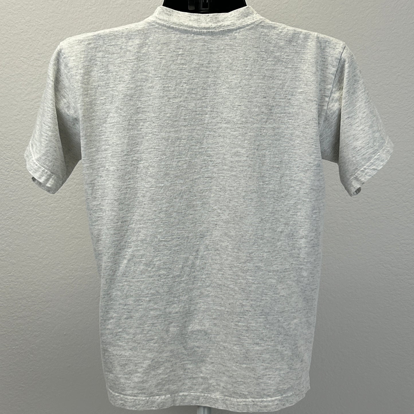 Sansegal Sportswear T-Shirt in gray, featuring a bald eagle design, view from the back