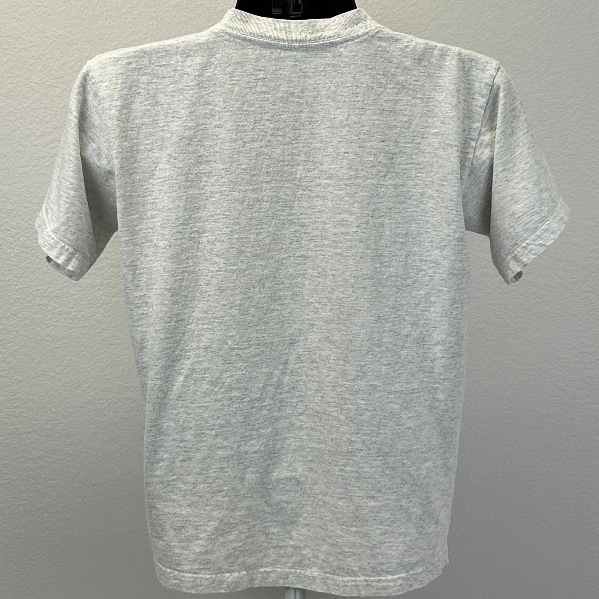 Sansegal Sportswear T-Shirt in gray, featuring a bald eagle design, view from the back