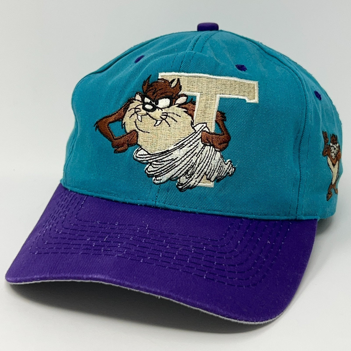 Vintage Taz Tasmanian Devil Baseball Cap in Teal and Purple with Embroidered Design