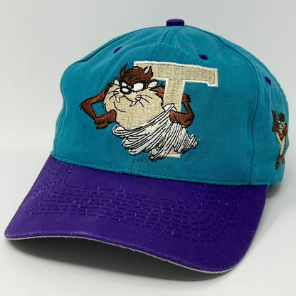 Vintage Taz Tasmanian Devil Baseball Cap in Teal and Purple with Embroidered Design