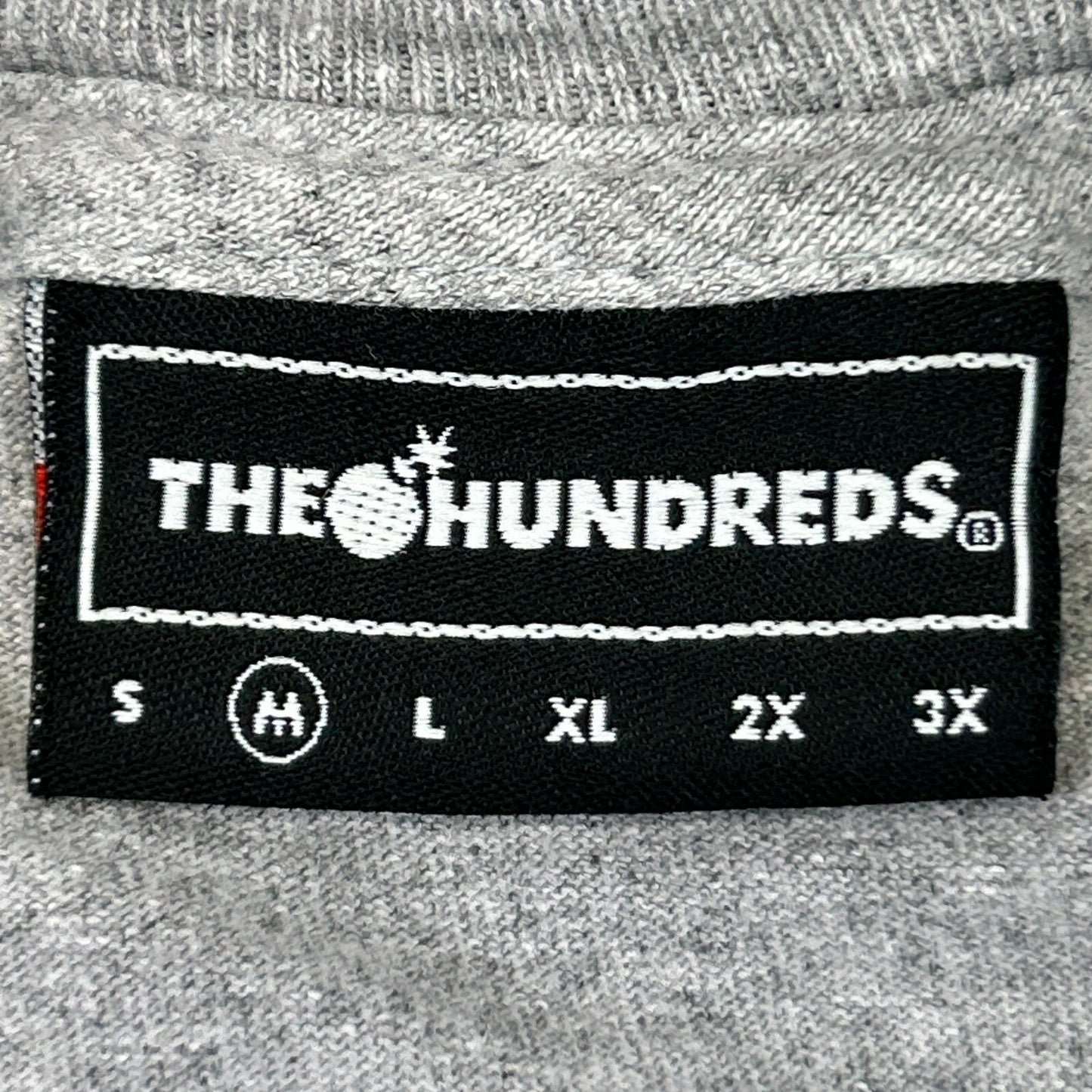 The Hundreds grey streetwear graphic t shirt tag showing size options S to 3X