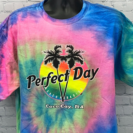 Comfort Colors tie-dye t-shirt in pink and blue featuring 'Perfect Day at Coco Cay' with palm trees
